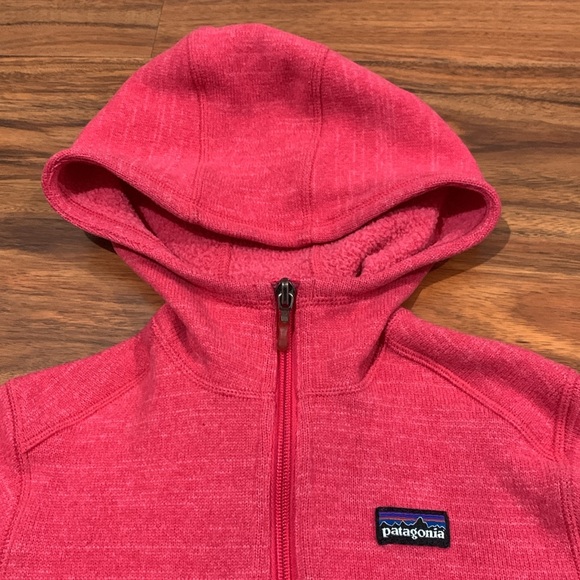Patagonia GIRLS Better Sweater Hoodie - GIRLS SIZE MEDIUM-10 - Picture 4 of 11